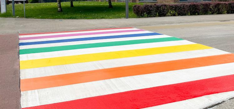 IDAHOT: Ninove pakt uit met regenboogvlaggen, nieuwe regenboogzebrapaden en Paars campagne