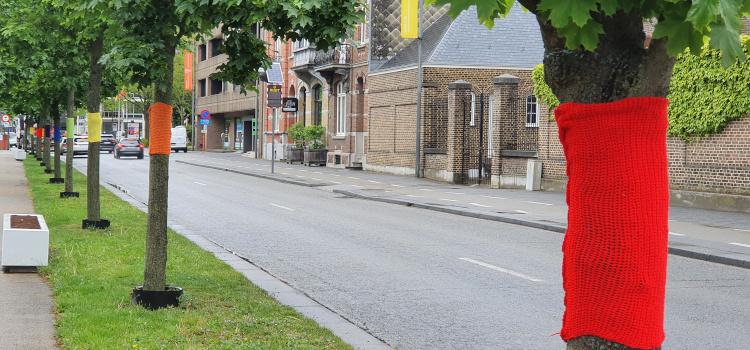IDAHOT: Hasselt heeft een Regenboogboulevard