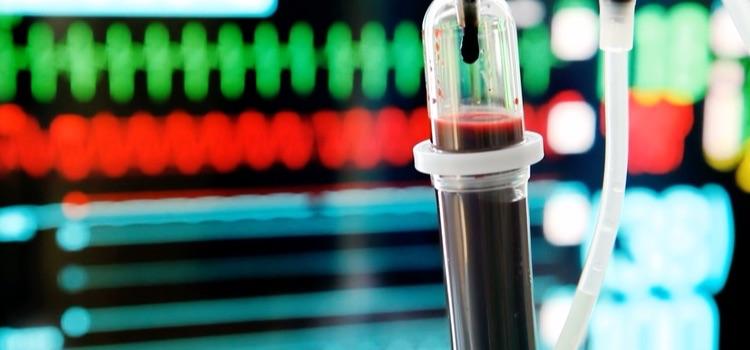 Unia vraagt aanpassing regels voor bloeddonatie door homoseksuelen