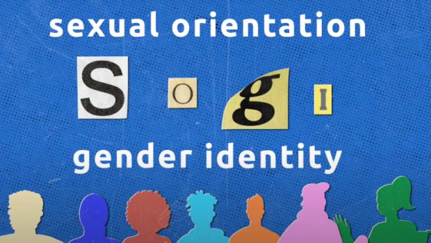 Belangenvereniging ILGA ijvert voor verlenging van mandaat van VN-expert seksuele oriëntatie en genderidentiteit