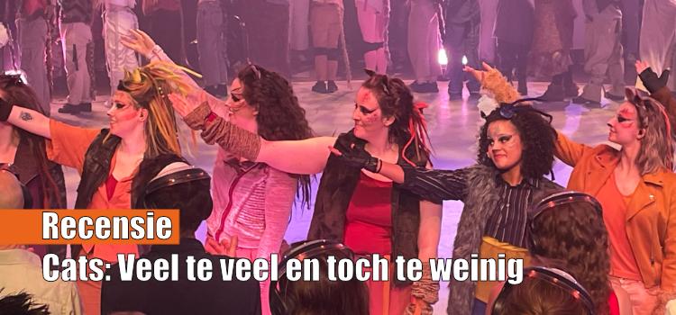 Cats: Veel te veel en toch te weinig